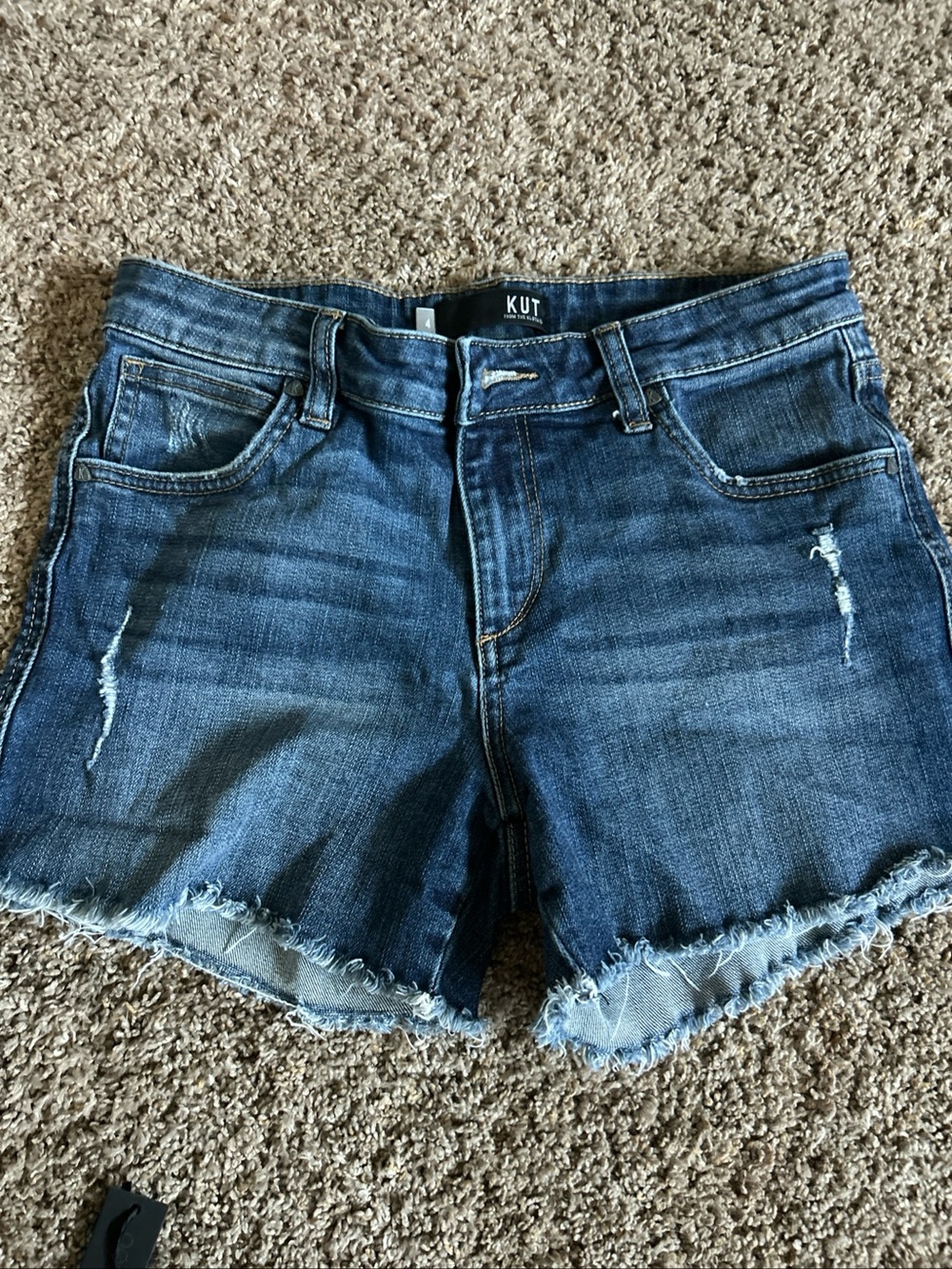KUT From the Kloth Blue Denim Frayed Hem Distressed Shorts Sz 4